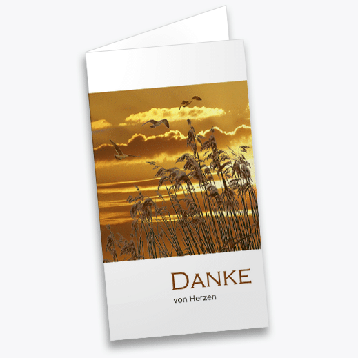 Trauer Dankeskarte Schilf
